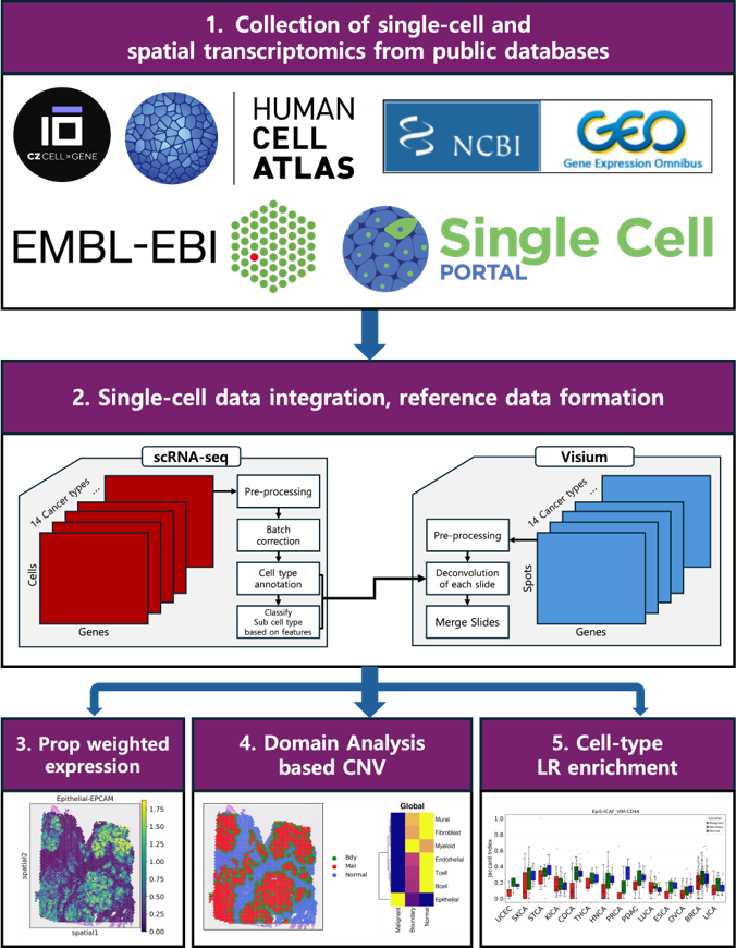 P-CaSSO Data Processing Pipeline