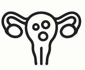 Ovary